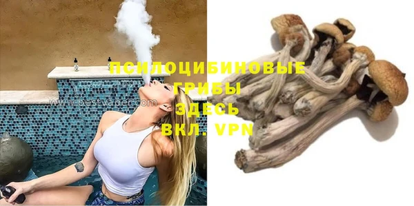спиды Няндома