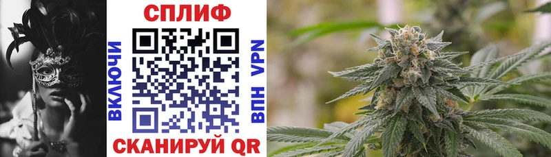 где купить наркотик  Томмот  Конопля White Widow 